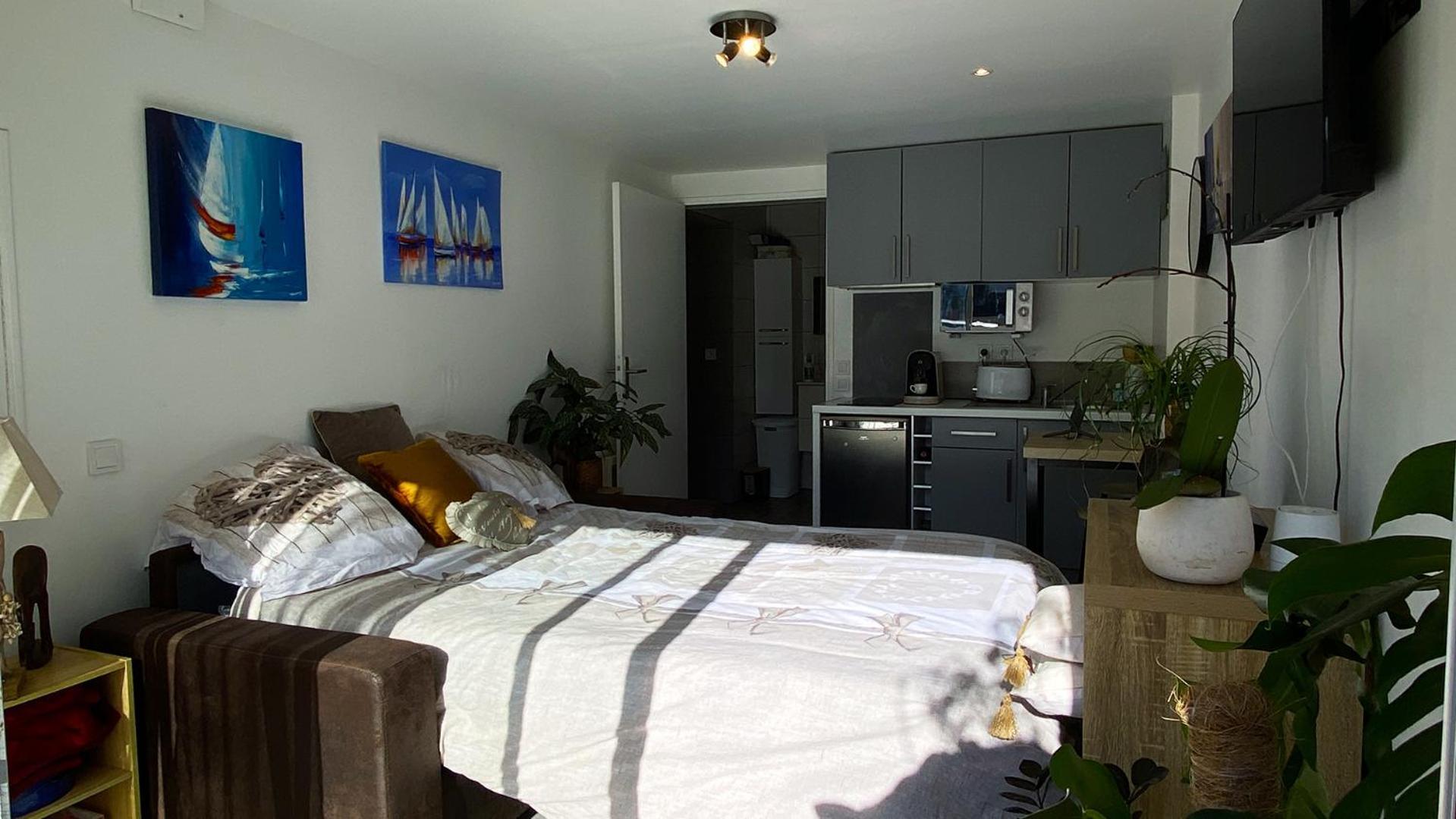 Studio Clair, Climatise Avec Jardin Et Parking Perpignan Exterior foto